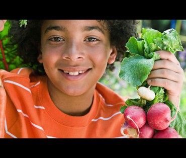 Nutritional Adequacy of the SCD Image