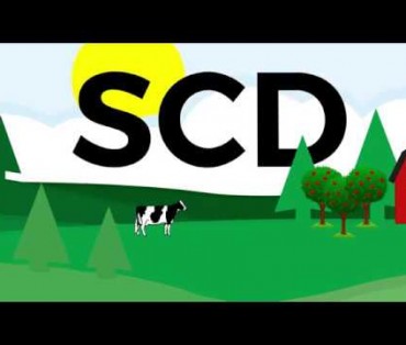 SCD Food Philosophy Image